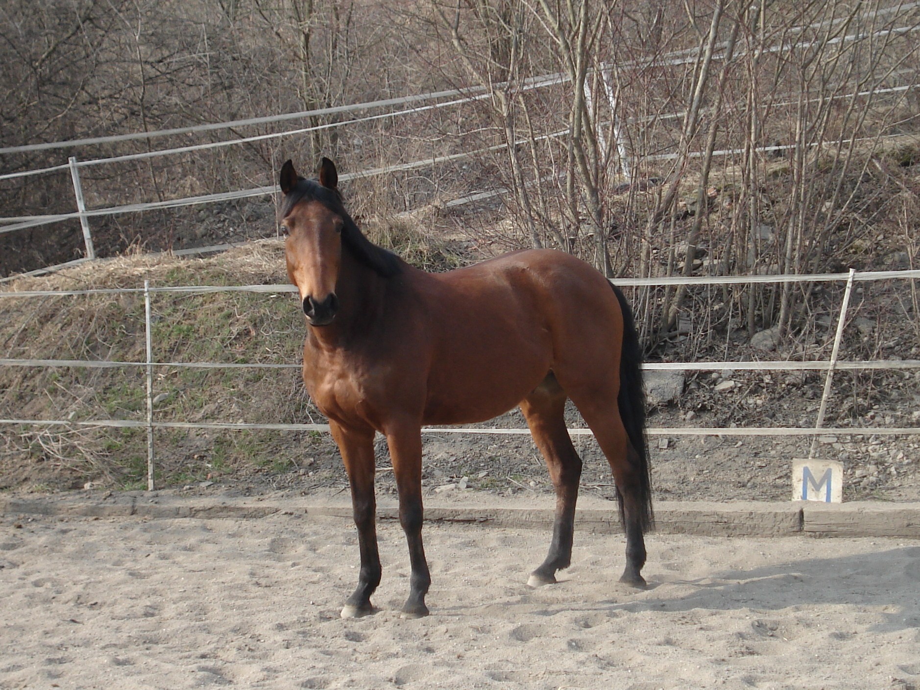 DSC02793
